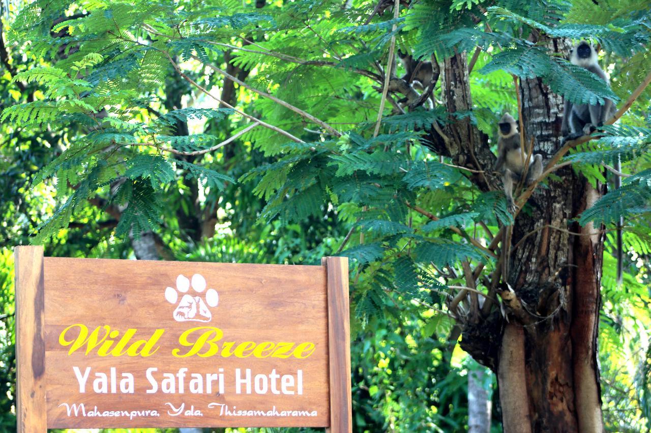 Wild Breeze Otel Tissamaharama Dış mekan fotoğraf